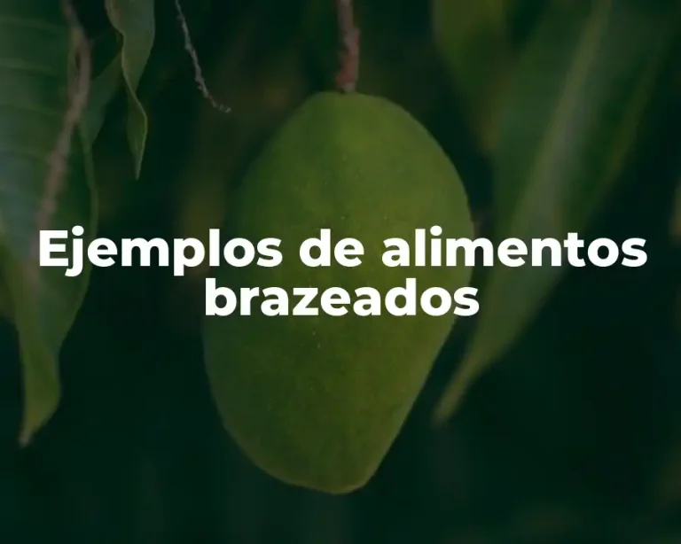 Ejemplos de alimentos brazeados