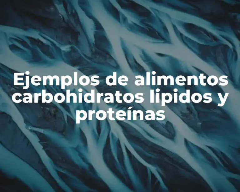 Ejemplos de alimentos carbohidratos lipidos y proteínas