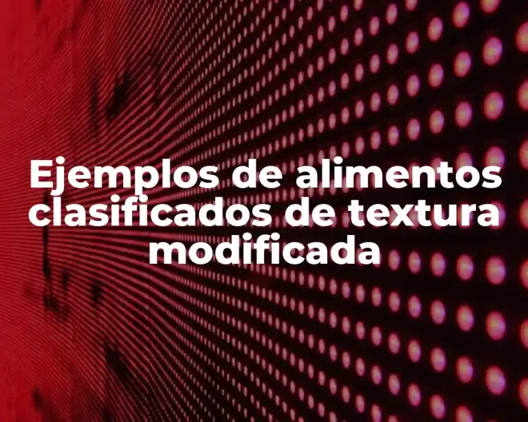Ejemplos de alimentos clasificados de textura modificada