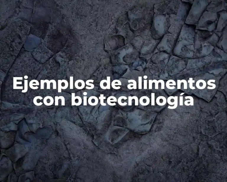 Ejemplos de alimentos con biotecnología