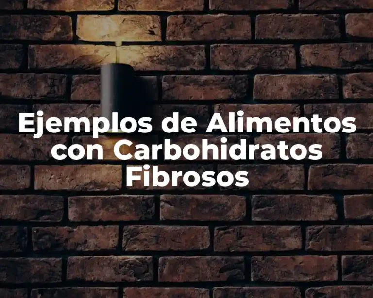 Ejemplos de Alimentos con Carbohidratos Fibrosos