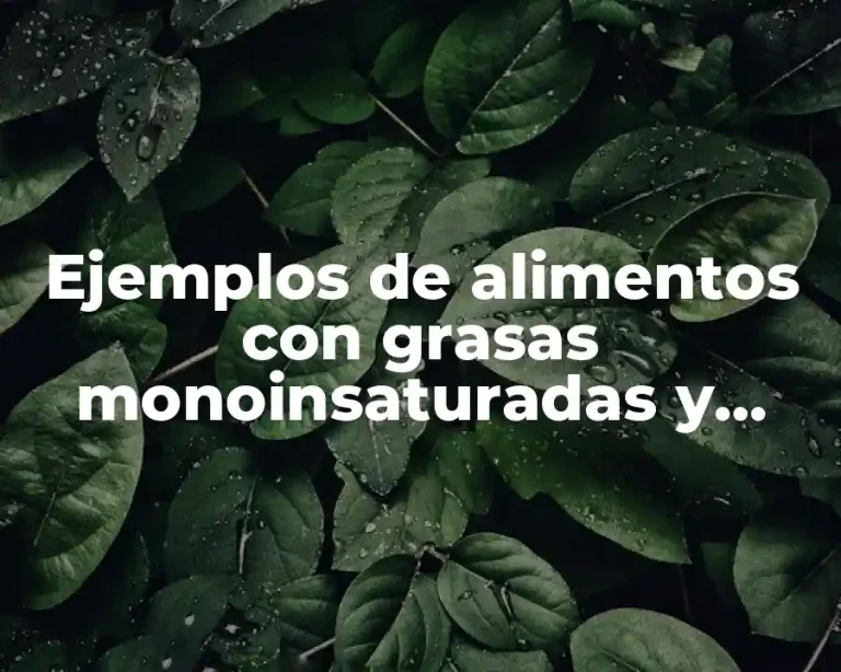 Ejemplos de alimentos con grasas monoinsaturadas y Significado