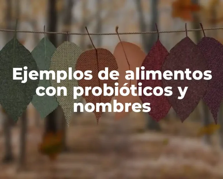 Ejemplos de alimentos con probióticos y nombres