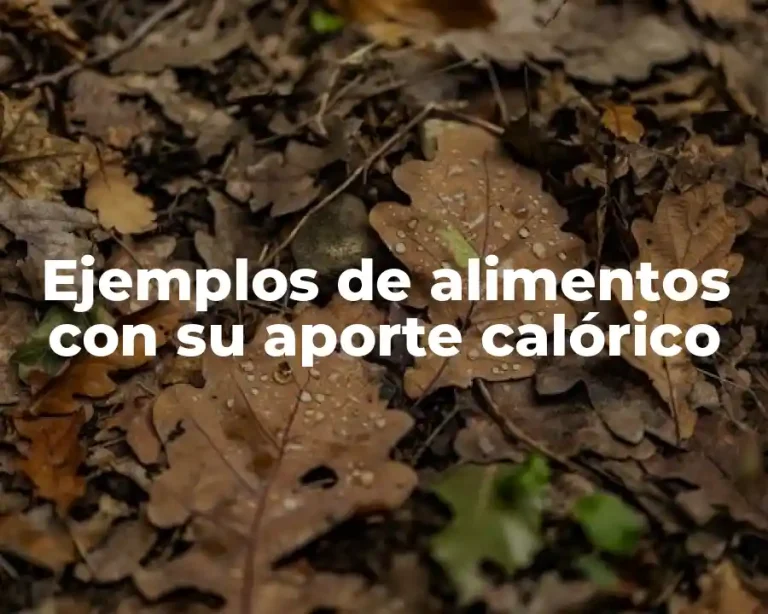 Ejemplos de alimentos con su aporte calórico