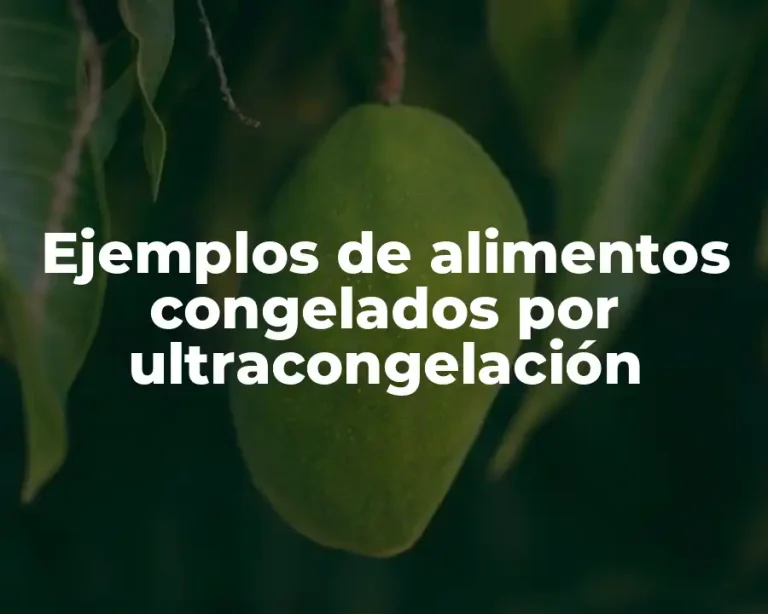 Ejemplos de alimentos congelados por ultracongelación