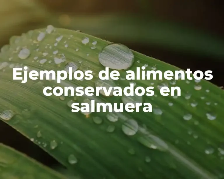 Ejemplos de alimentos conservados en salmuera
