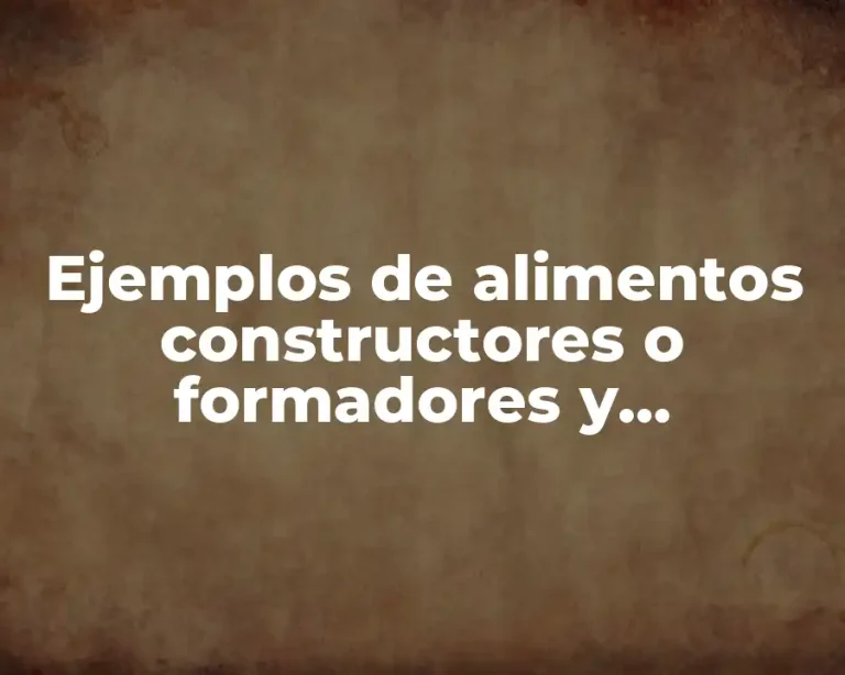 Ejemplos de alimentos constructores o formadores y Significado