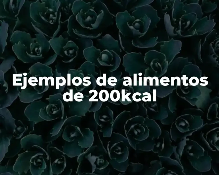 Ejemplos de alimentos de 200kcal