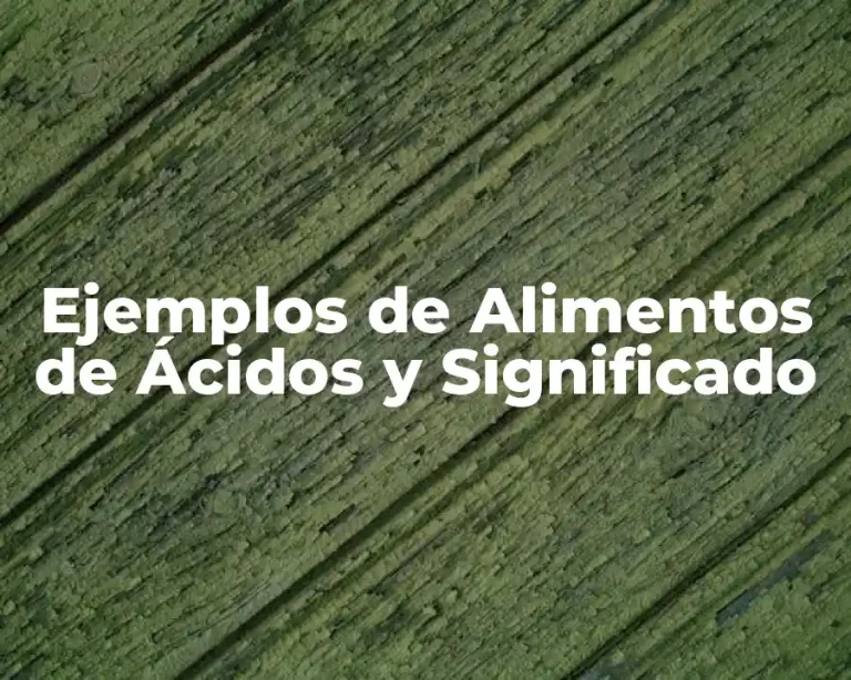 Ejemplos de Alimentos de Ácidos y Significado
