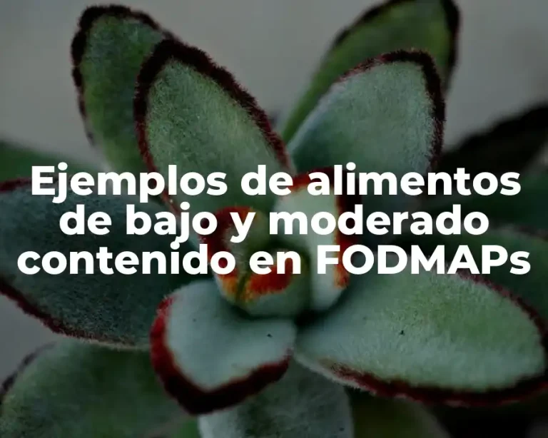 Ejemplos de alimentos de bajo y moderado contenido en FODMAPs