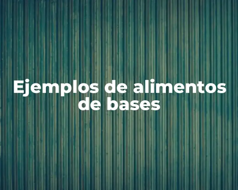 Ejemplos de alimentos de bases