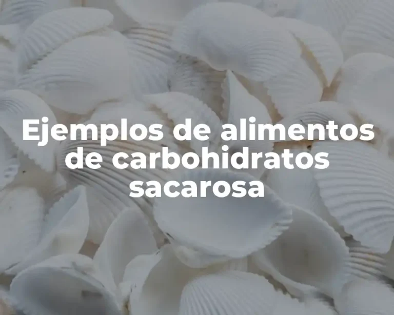 Ejemplos de alimentos de carbohidratos sacarosa
