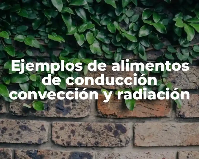 Ejemplos de alimentos de conducción convección y radiación