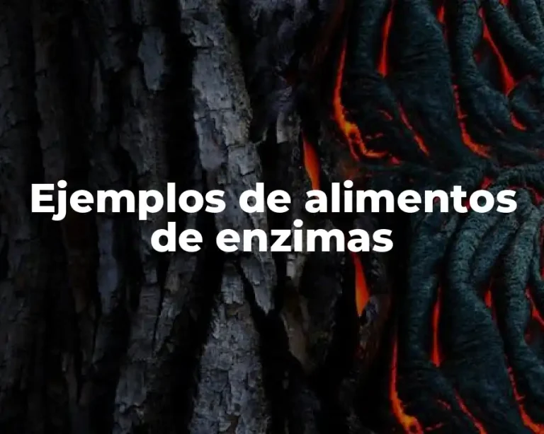 Ejemplos de alimentos de enzimas
