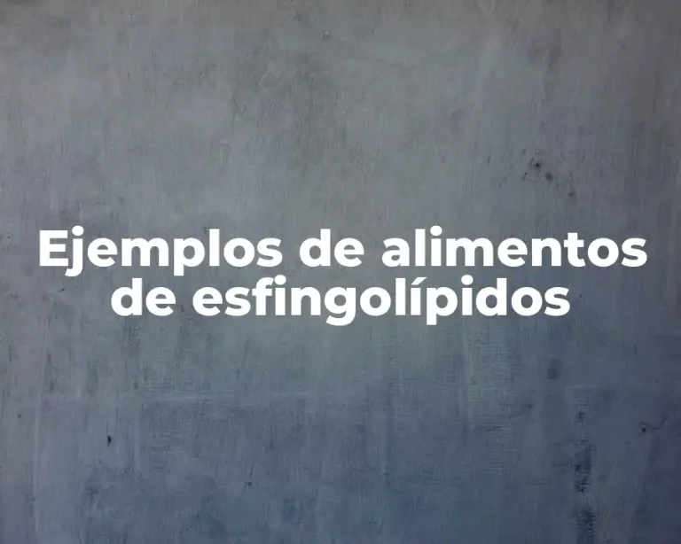 Ejemplos de alimentos de esfingolípidos