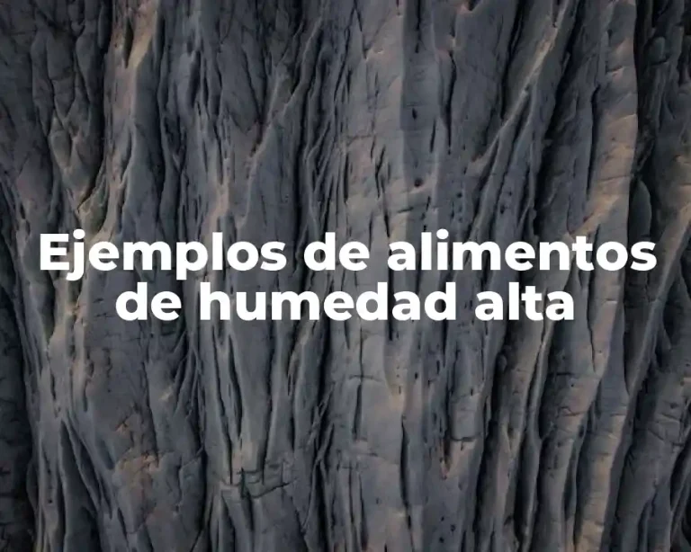 Ejemplos de alimentos de humedad alta