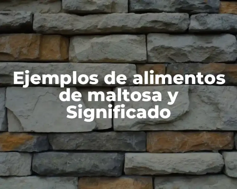 Ejemplos de alimentos de maltosa y Significado