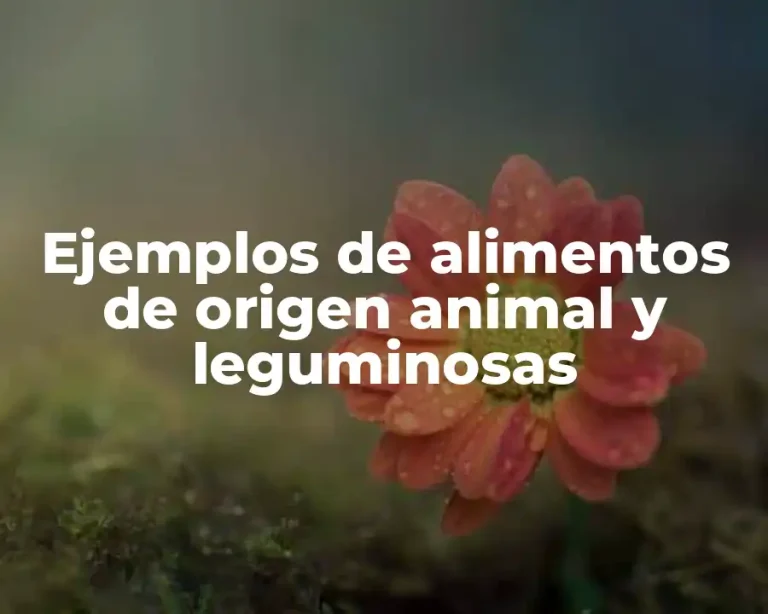 Ejemplos de alimentos de origen animal y leguminosas