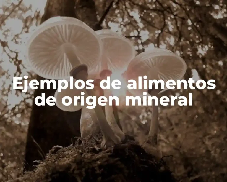 Ejemplos de alimentos de origen mineral