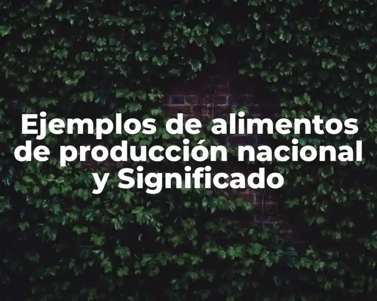 Ejemplos de alimentos de producción nacional y Significado