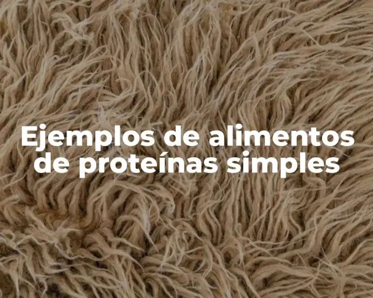 Ejemplos de alimentos de proteínas simples