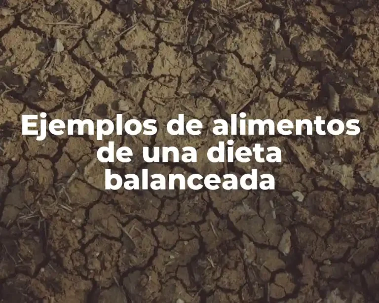 Ejemplos de alimentos de una dieta balanceada