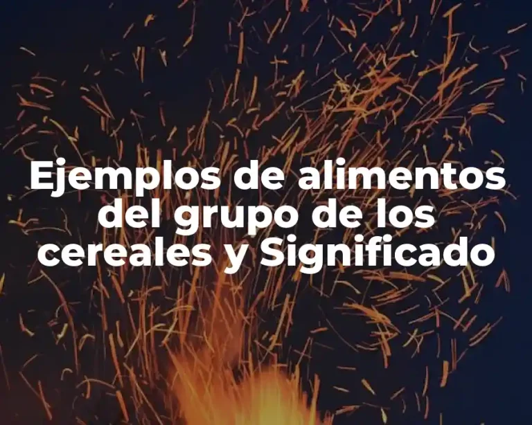 Ejemplos de alimentos del grupo de los cereales y Significado