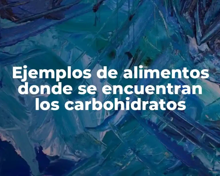 Ejemplos de alimentos donde se encuentran los carbohidratos