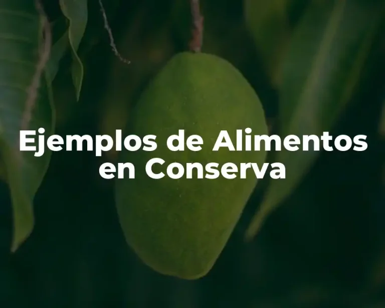 Ejemplos de Alimentos en Conserva