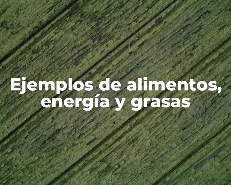Ejemplos de alimentos, energía y grasas