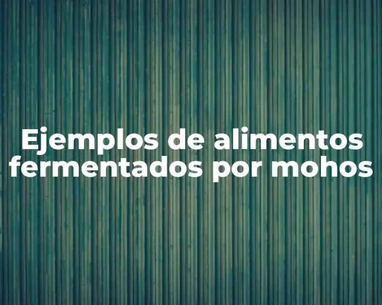 Ejemplos de alimentos fermentados por mohos