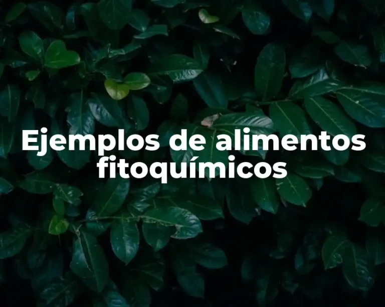 Ejemplos de alimentos fitoquímicos