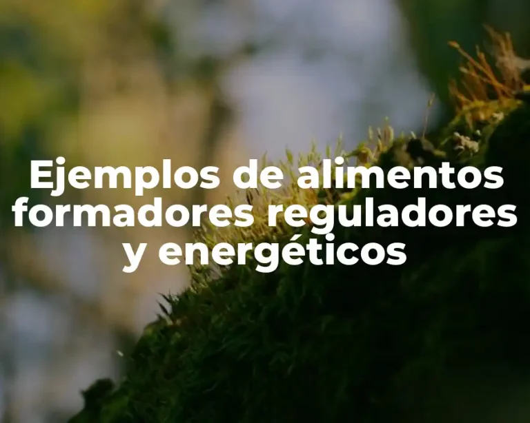 Ejemplos de alimentos formadores reguladores y energéticos