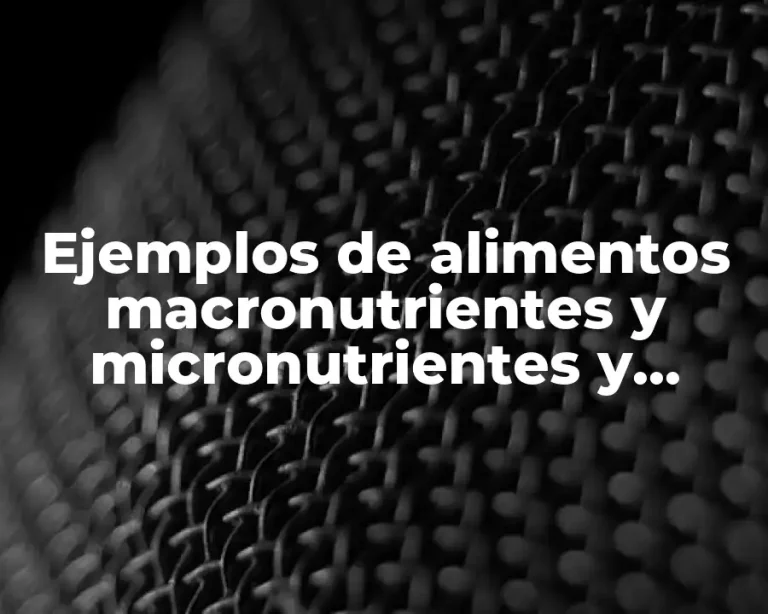 Ejemplos de alimentos macronutrientes y micronutrientes y Significado