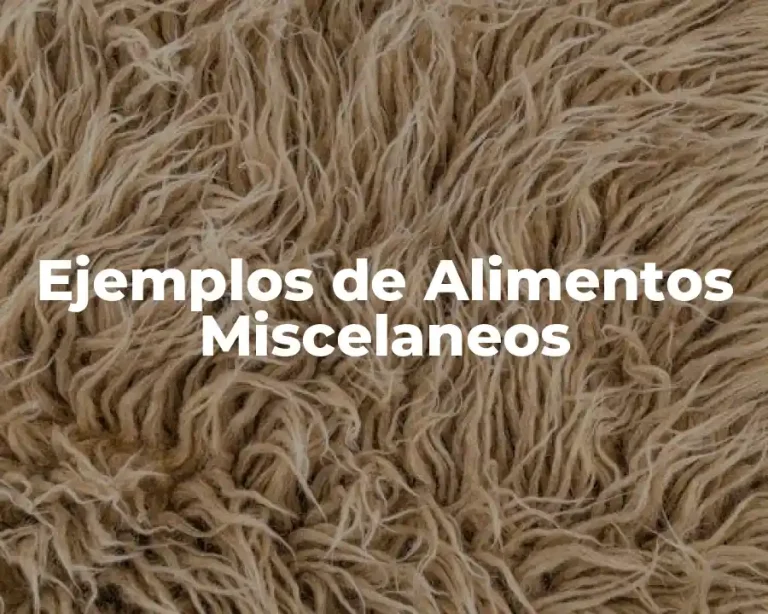 Ejemplos de Alimentos Miscelaneos