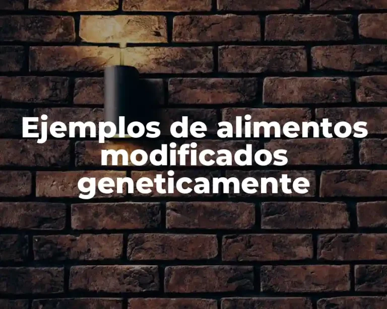 Ejemplos de alimentos modificados geneticamente