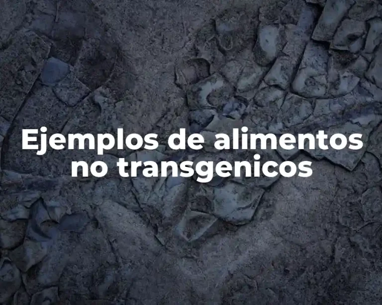 Ejemplos de alimentos no transgenicos