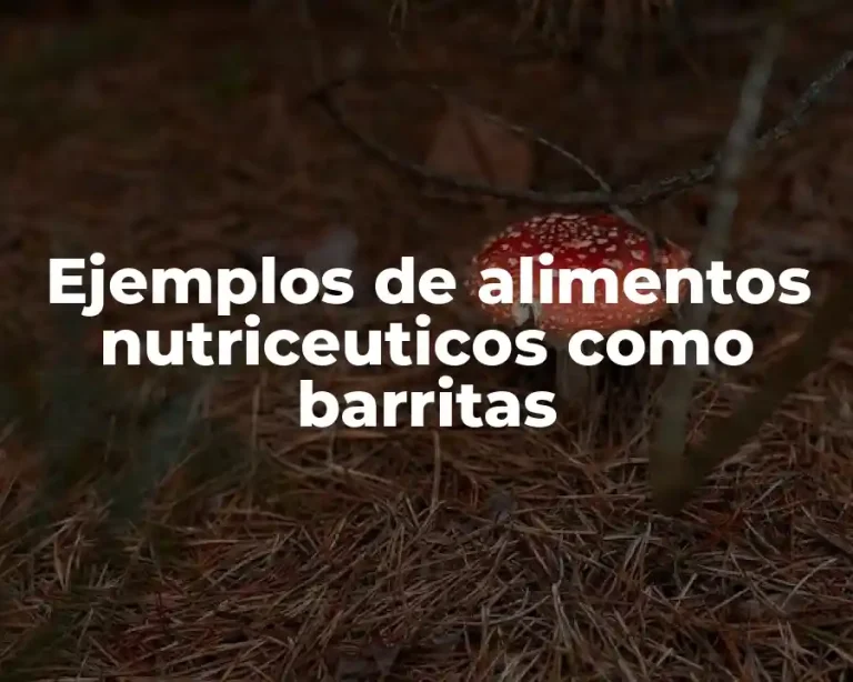 Ejemplos de alimentos nutriceuticos como barritas