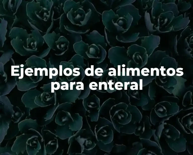 Ejemplos de alimentos para enteral