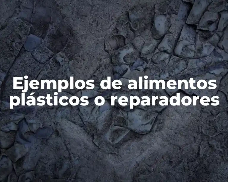 Ejemplos de alimentos plásticos o reparadores
