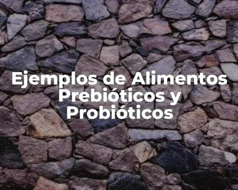 Ejemplos de Alimentos Prebióticos y Probióticos