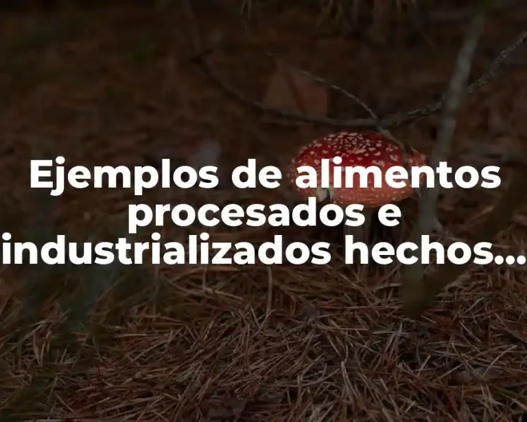Ejemplos de alimentos procesados e industrializados hechos con fruta y Significado