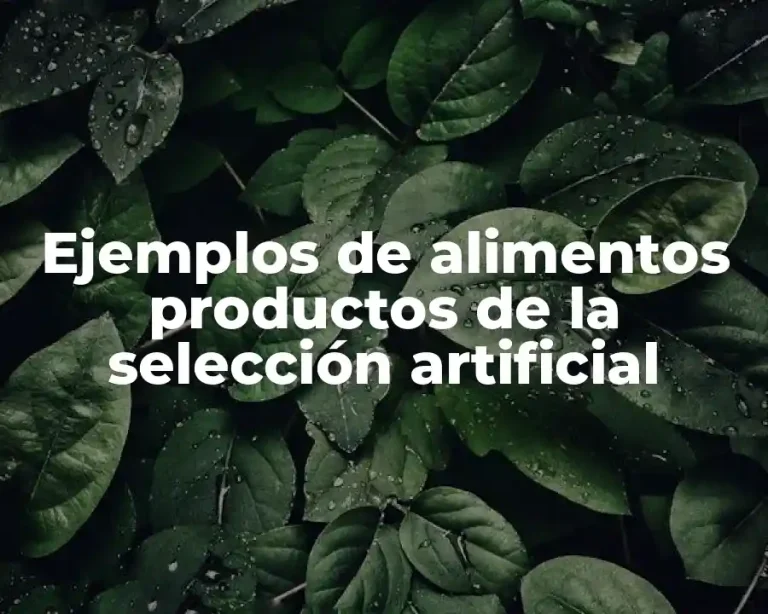 Ejemplos de alimentos productos de la selección artificial