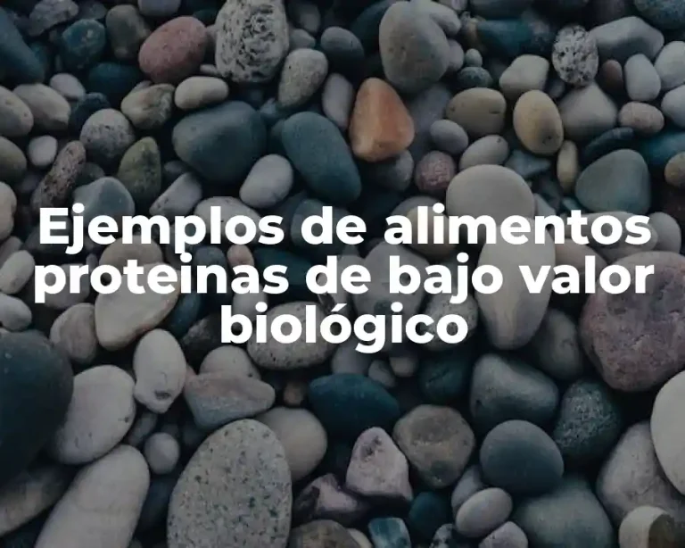 Ejemplos de alimentos proteinas de bajo valor biológico