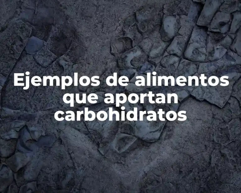 Ejemplos de alimentos que aportan carbohidratos