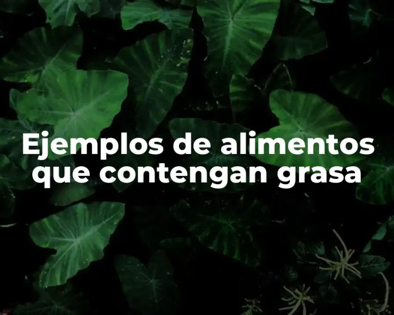 Ejemplos de alimentos que contengan grasa