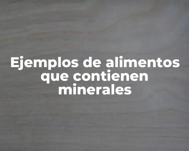 Ejemplos de alimentos que contienen minerales