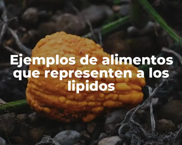 Ejemplos de alimentos que representen a los lipidos