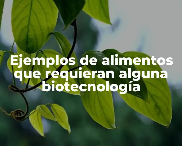 Ejemplos de alimentos que requieran alguna biotecnología