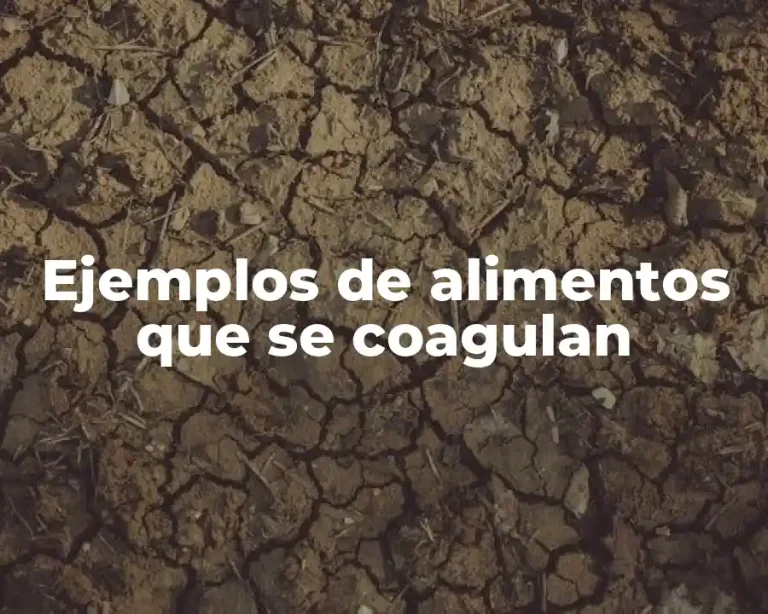 Ejemplos de alimentos que se coagulan